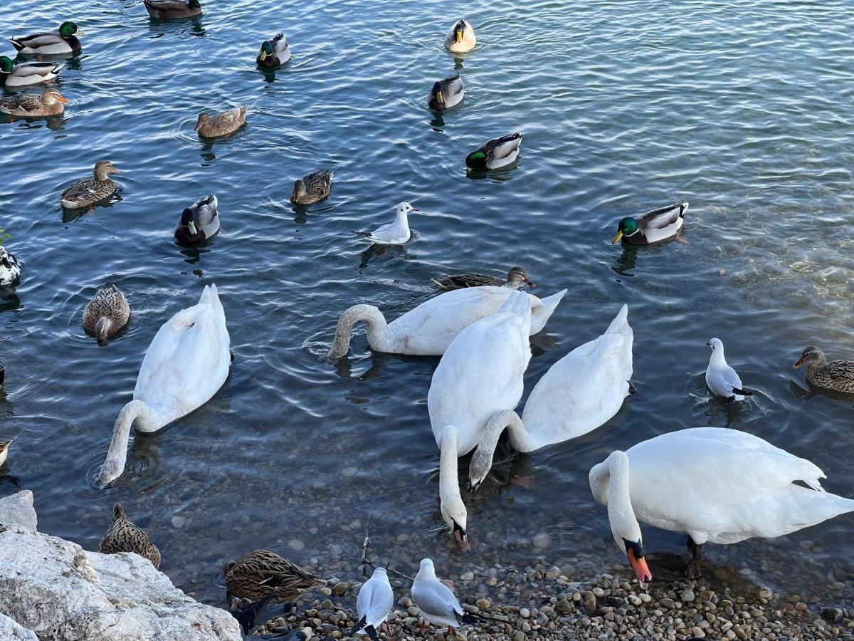 Villeneuve Loubet Plage- Entre Nice Et Cannes 外观 照片