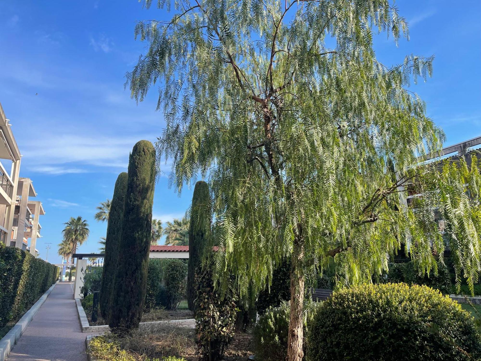 Villeneuve Loubet Plage- Entre Nice Et Cannes 外观 照片