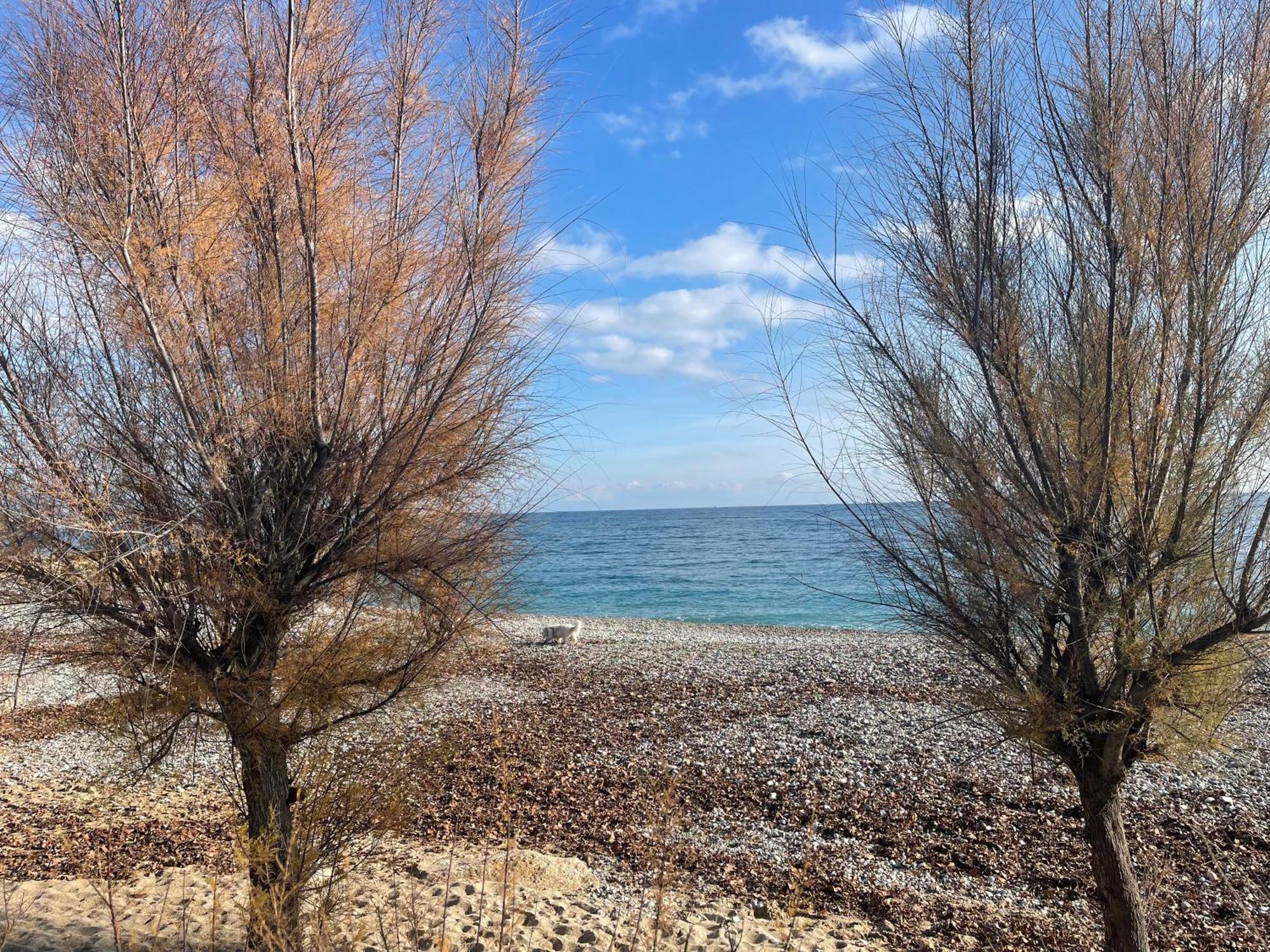 Villeneuve Loubet Plage- Entre Nice Et Cannes 外观 照片