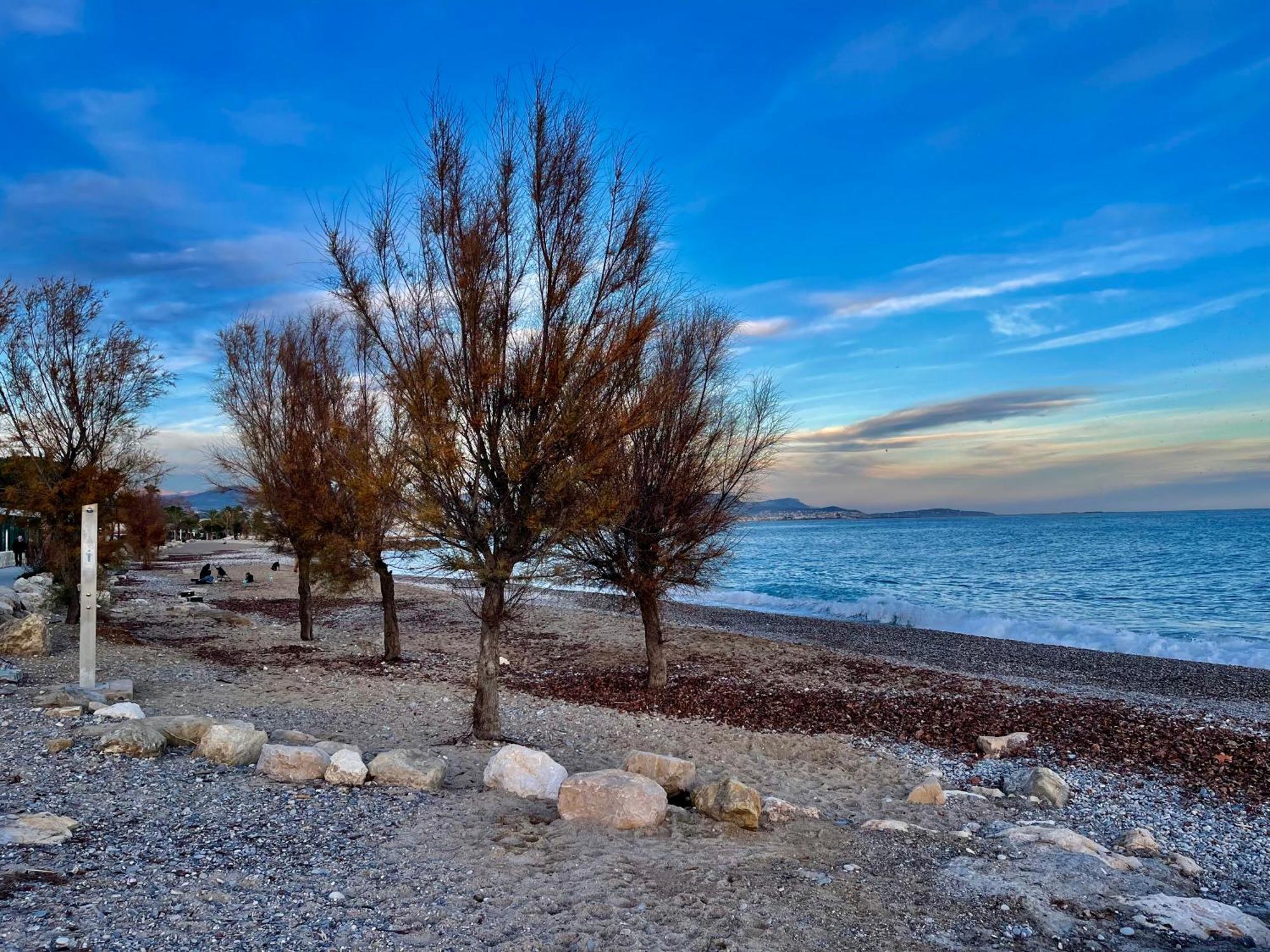 Villeneuve Loubet Plage- Entre Nice Et Cannes 外观 照片